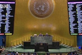 星空体育- DWG带队取胜！，莎拉波娃重要时刻持续失利观众掌声雷动